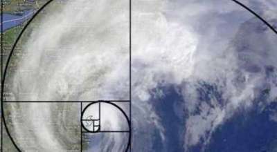 Dãy số Fibonacci và những bí ẩn trong tự nhiên